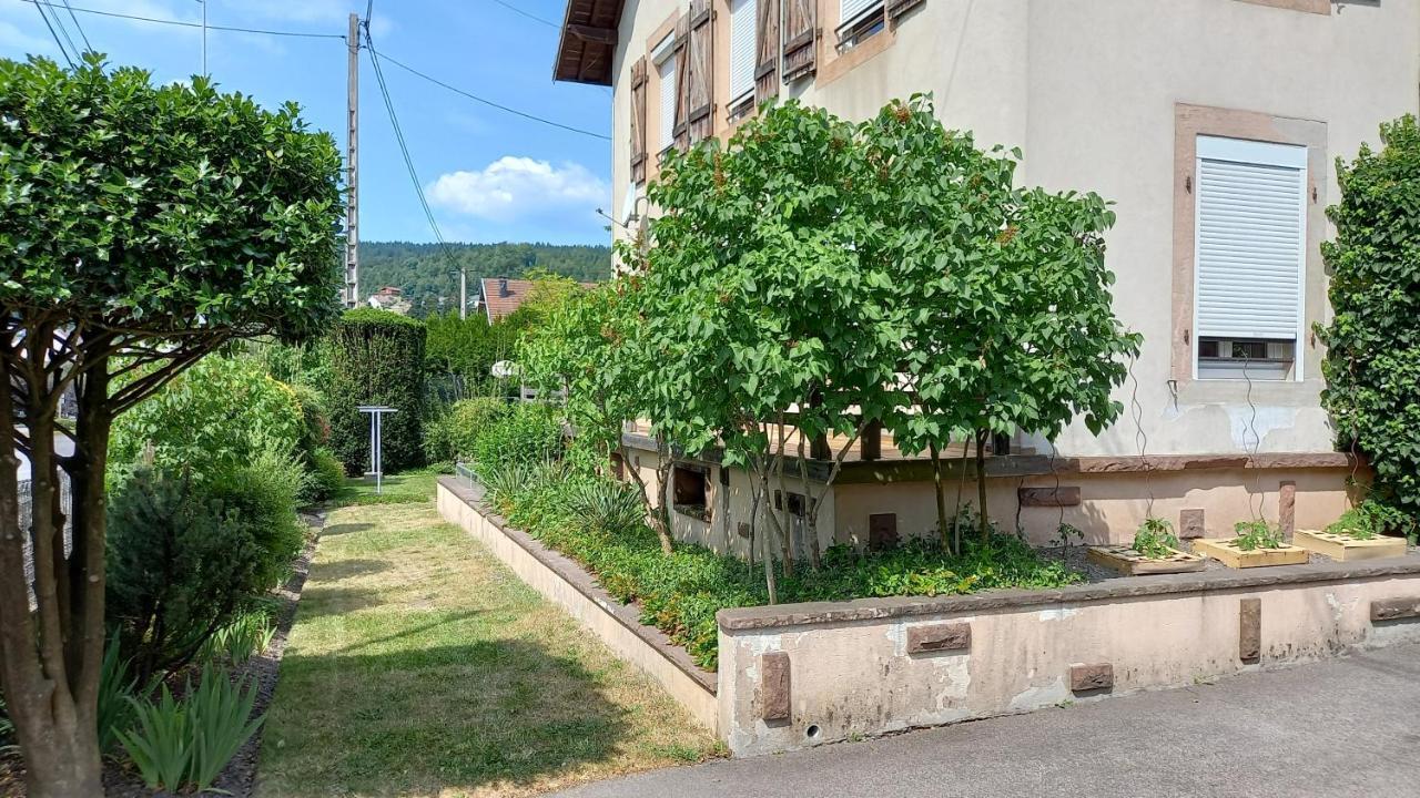 Studio D'Hotes A 10 Km De Gerardmer Le Tholy Bagian luar foto