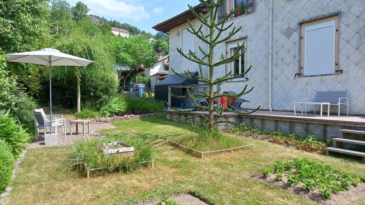 Studio D'Hotes A 10 Km De Gerardmer Le Tholy Bagian luar foto